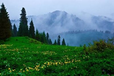 南山牧場