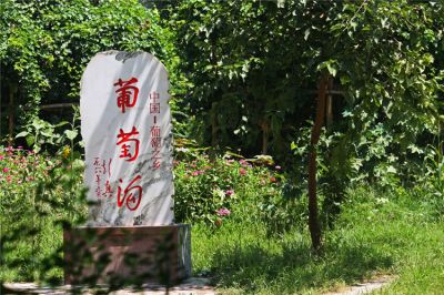 葡萄溝