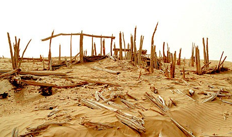 尼雅遺址